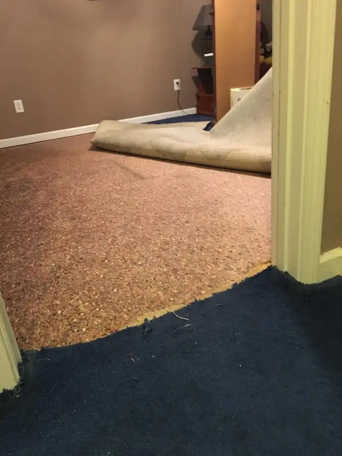 Carpet pad removal revealing water damage during Water Mitigation Services in Beavercreek